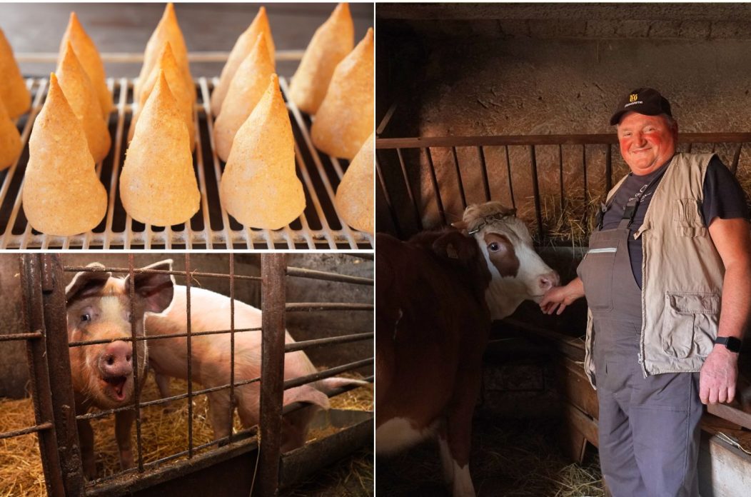 Životinje Željka Mesarića (1)