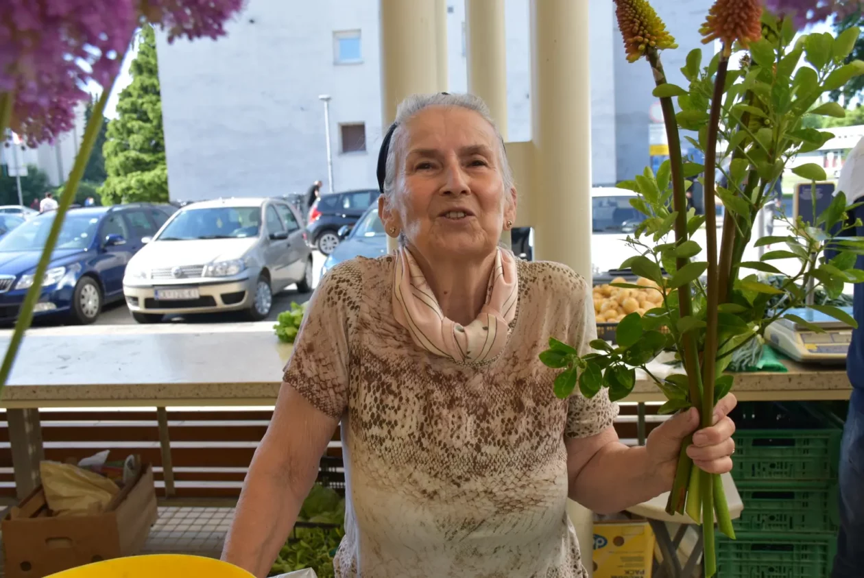 Zlatka Jambrović, (3)