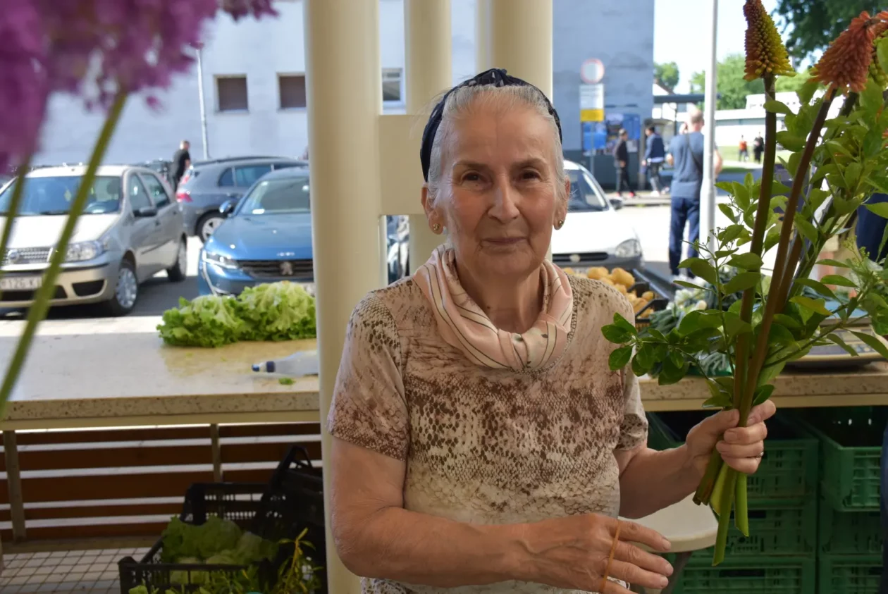 Zlatka Jambrović, (4)