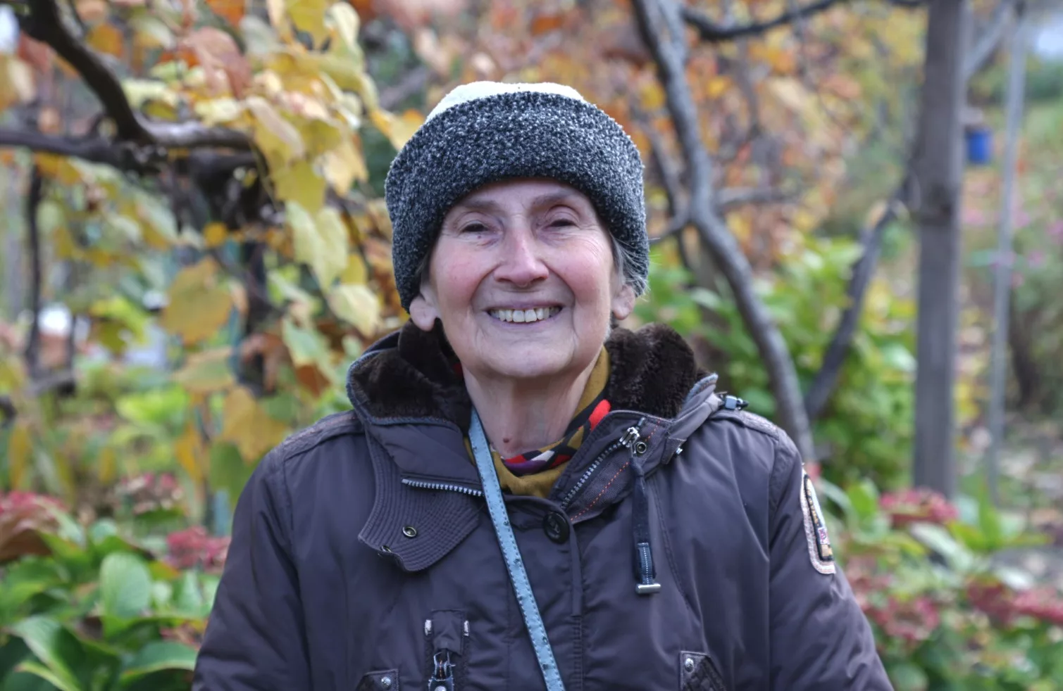 Zlatka Jambrović, (4)