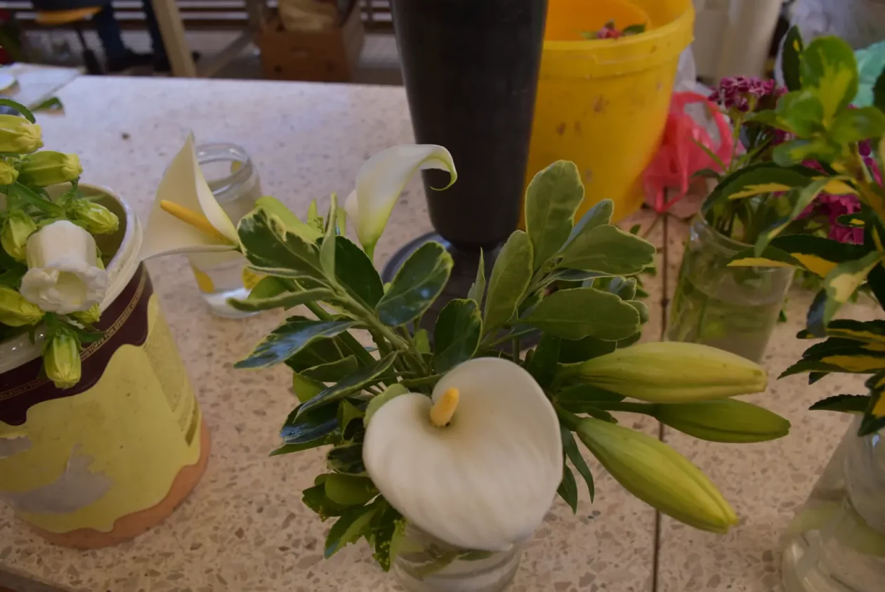 Zlatka Jambrović, (5)