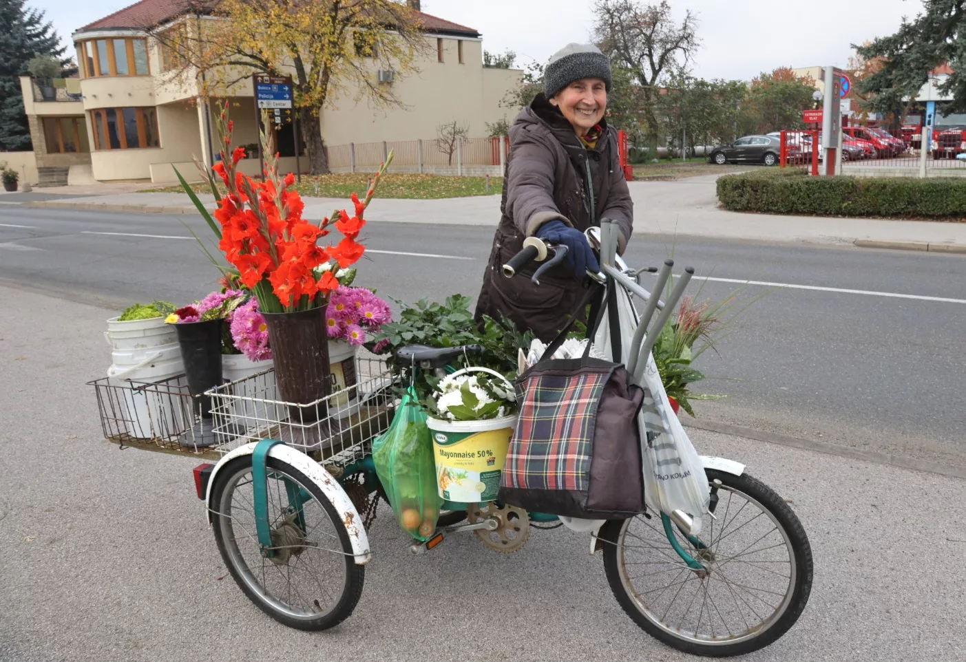 Zlatka Jambrović, (5)