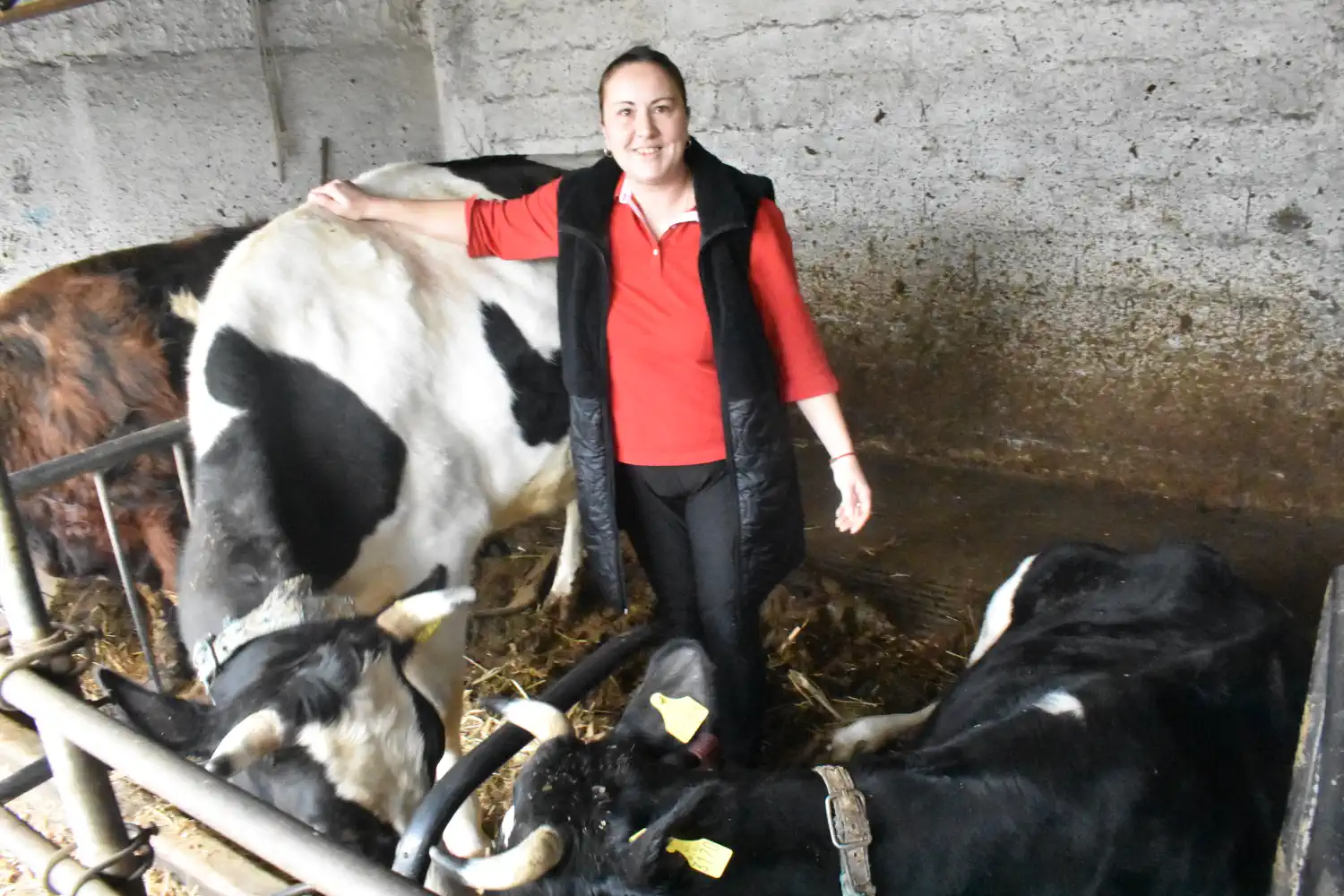 Zlatko Orsag iz Orehovice (3)