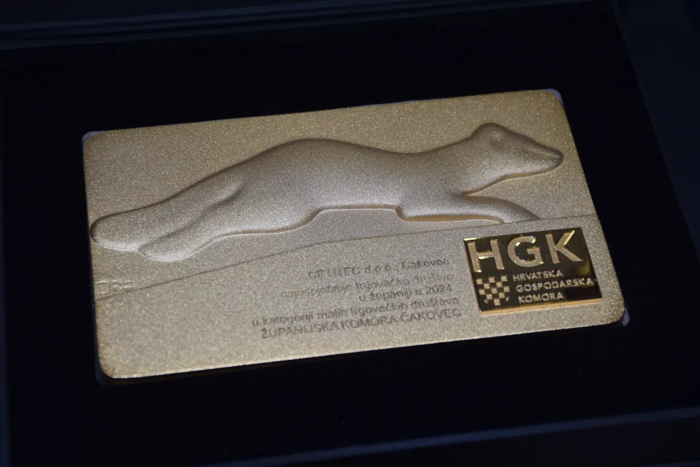 Zlatna kuna 2025, Čakovec, međimurska županija (22)