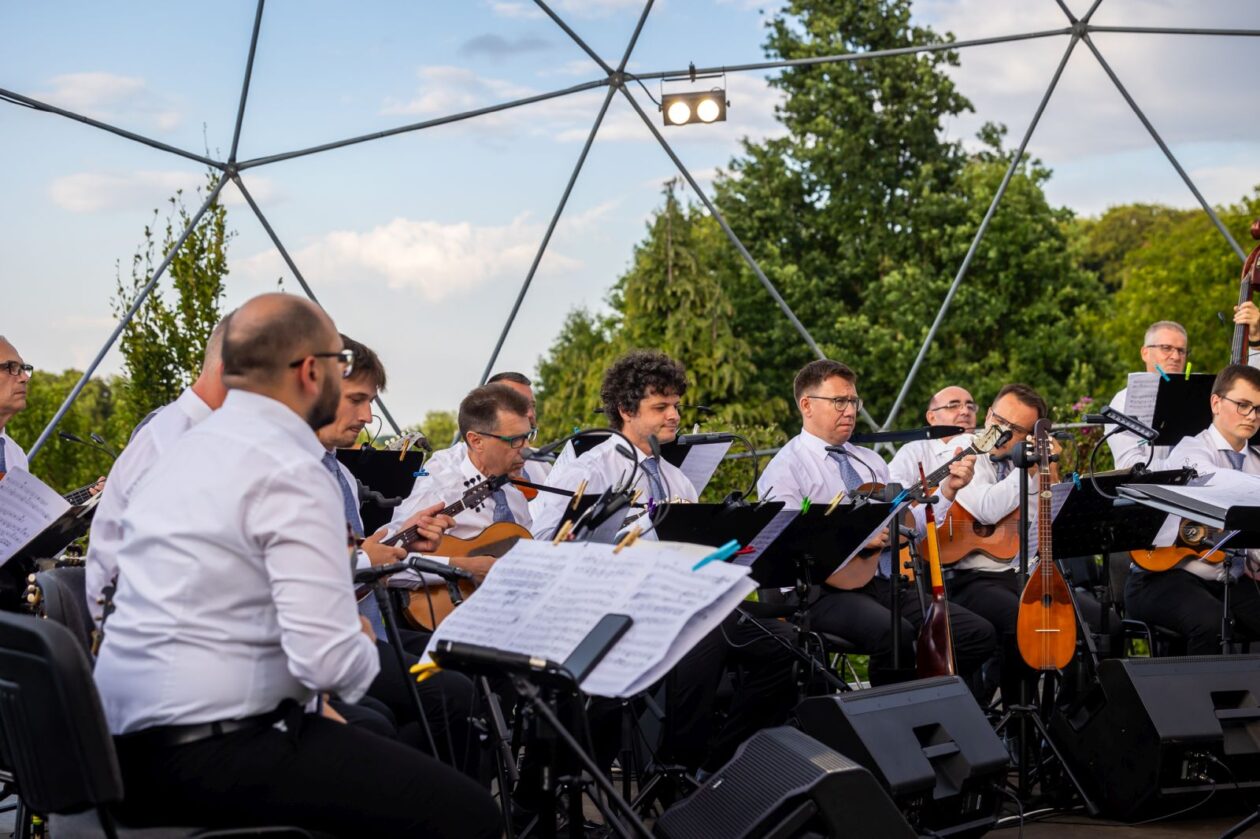 Zmajev vrt Terca art 12 Zmajev vrt Terca art 12