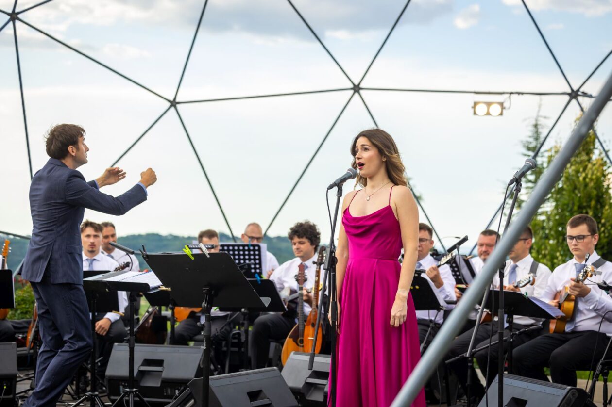 Zmajev vrt Terca art 28 Zmajev vrt Terca art 28