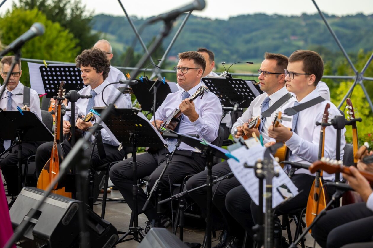 Zmajev vrt Terca art 29 Zmajev vrt Terca art 29