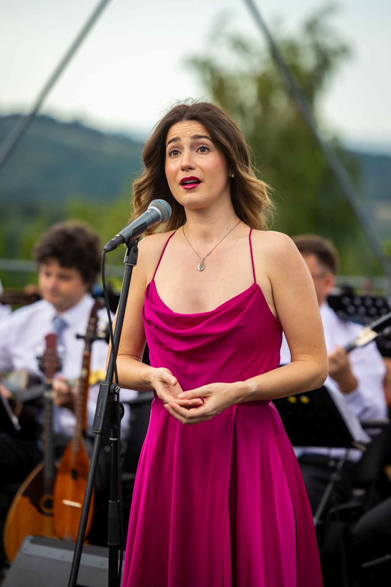 Zmajev vrt Terca art 31 Zmajev vrt Terca art 31