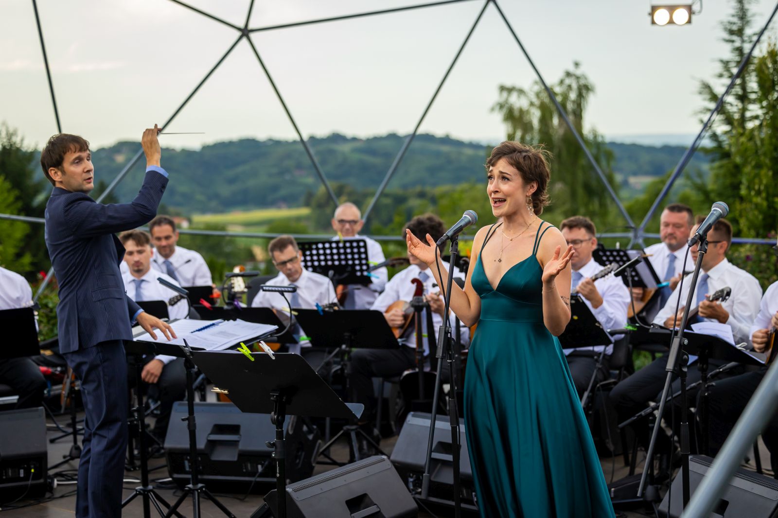 Zmajev vrt Terca art 38