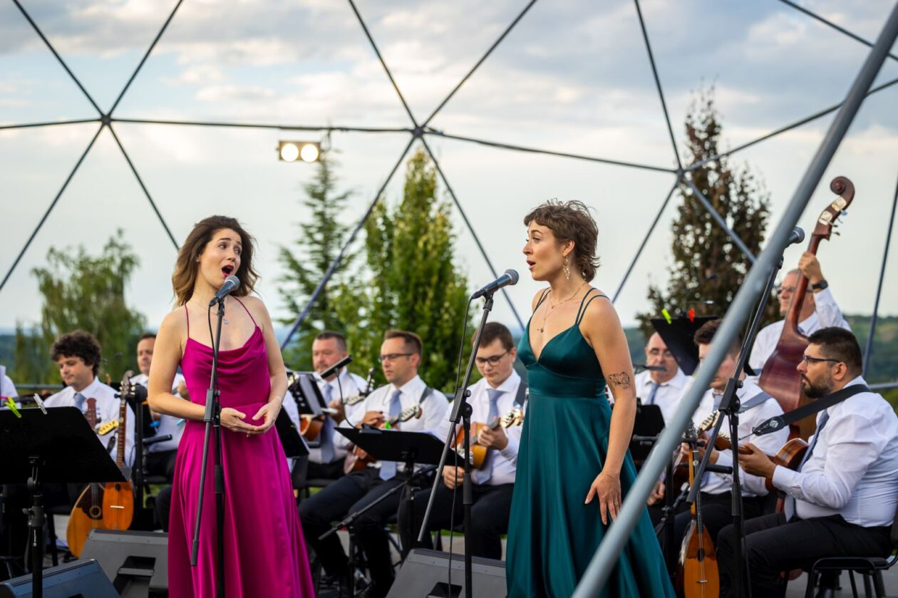 Zmajev vrt Terca art 50 Zmajev vrt Terca art 50