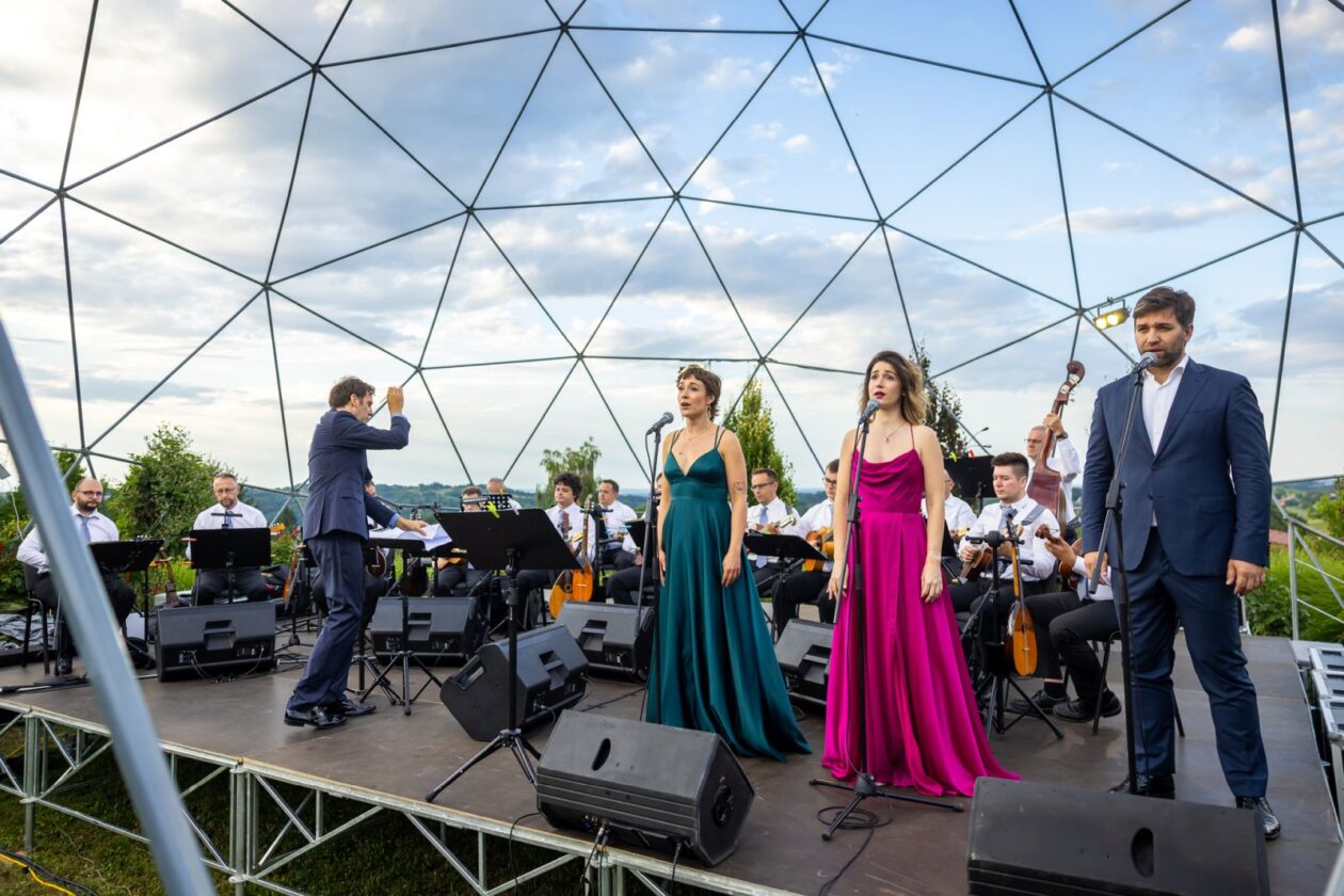 Zmajev vrt Terca art 53 Zmajev vrt Terca art 53