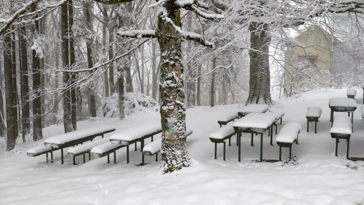 Zoran Stanko Ivančica (7) Zoran Stanko Ivančica (7)