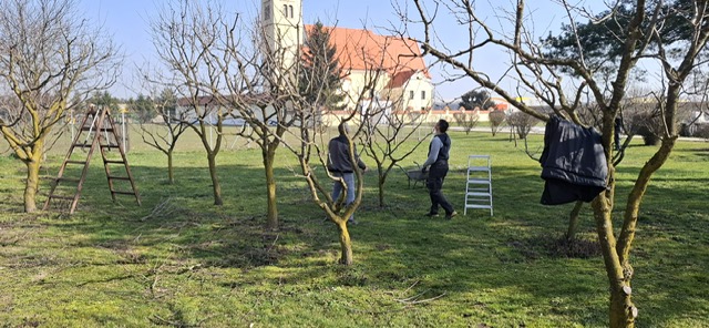 Župa Nedelišće radna akcija (14)