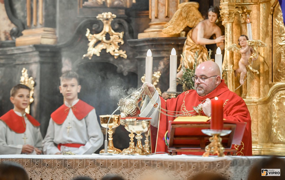 Župa Prelog Cvjetnica (5) Župa Prelog Cvjetnica (5)