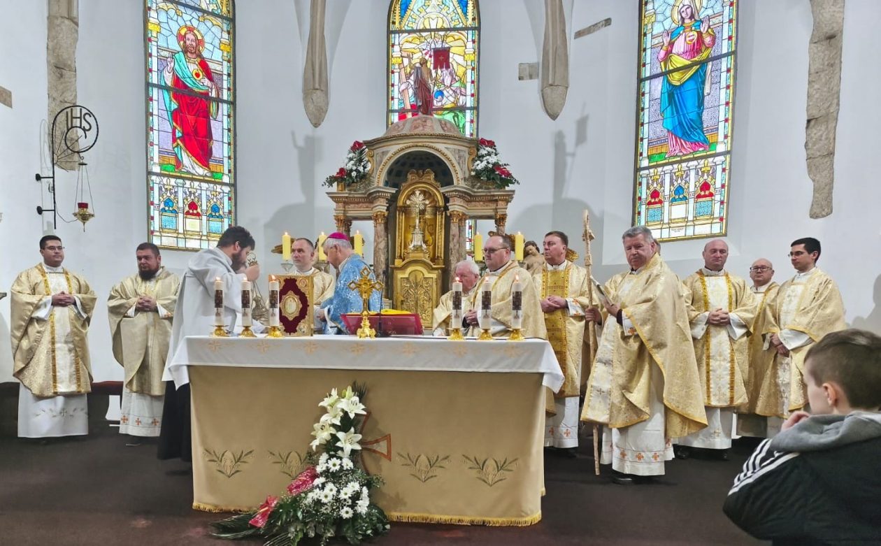 Župa Presvetog Trojstva – Nedelišće – Gospa Lurdska (13)