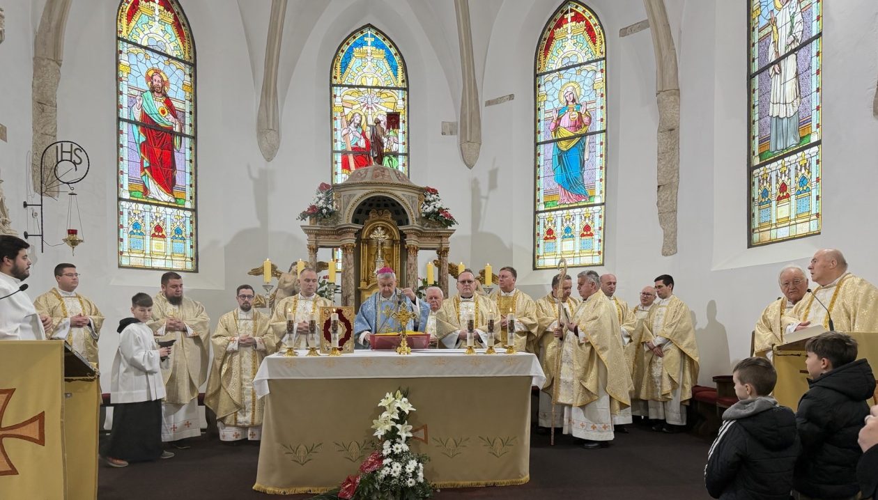 Župa Presvetog Trojstva – Nedelišće – Gospa Lurdska (3)