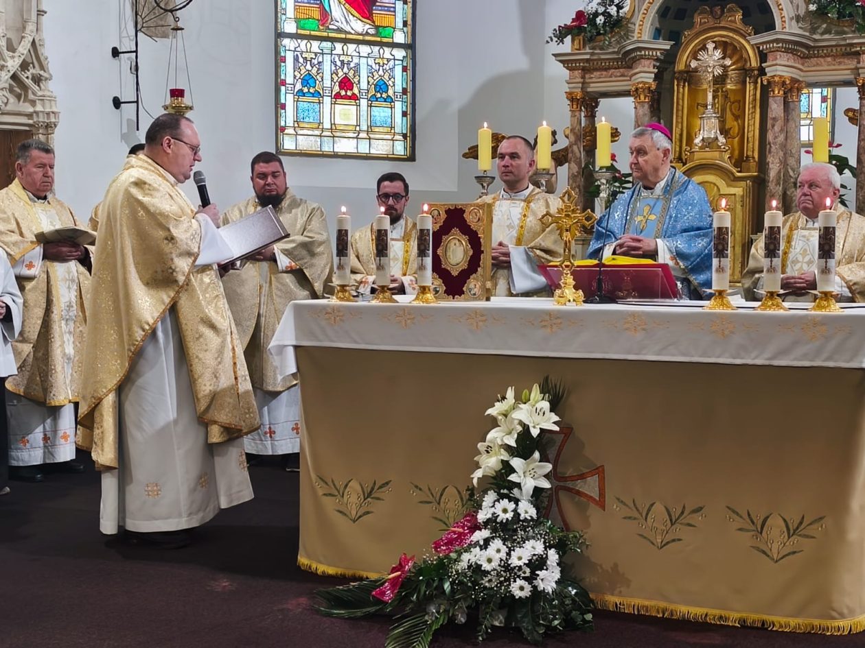 Župa Presvetog Trojstva – Nedelišće – Gospa Lurdska (6)