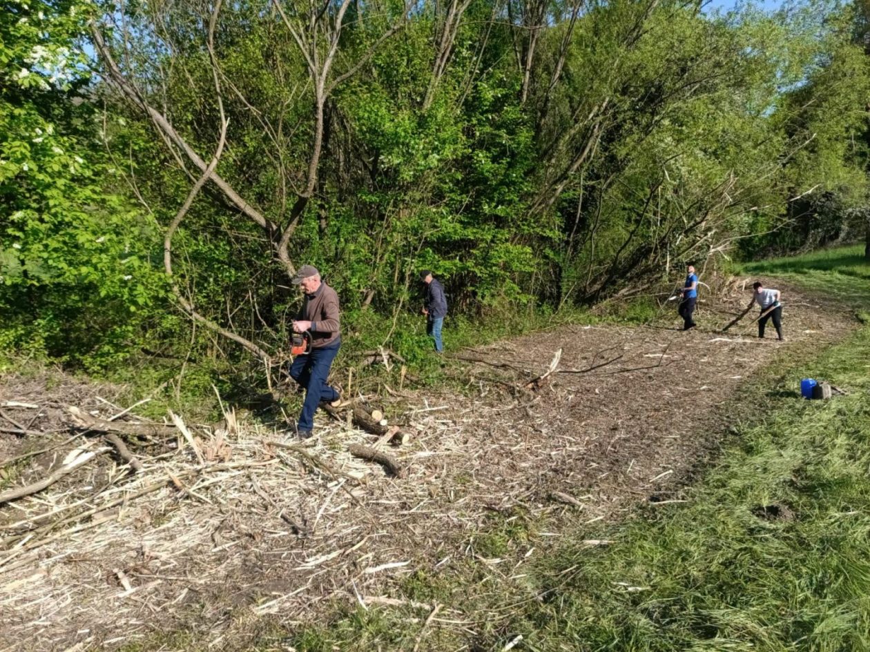 Župa Štrigova radna akcija (10)