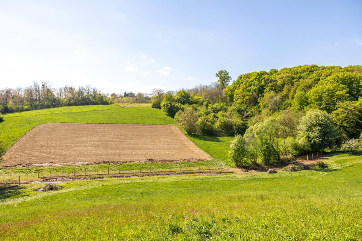 Župa Štrigova radna akcija (2)