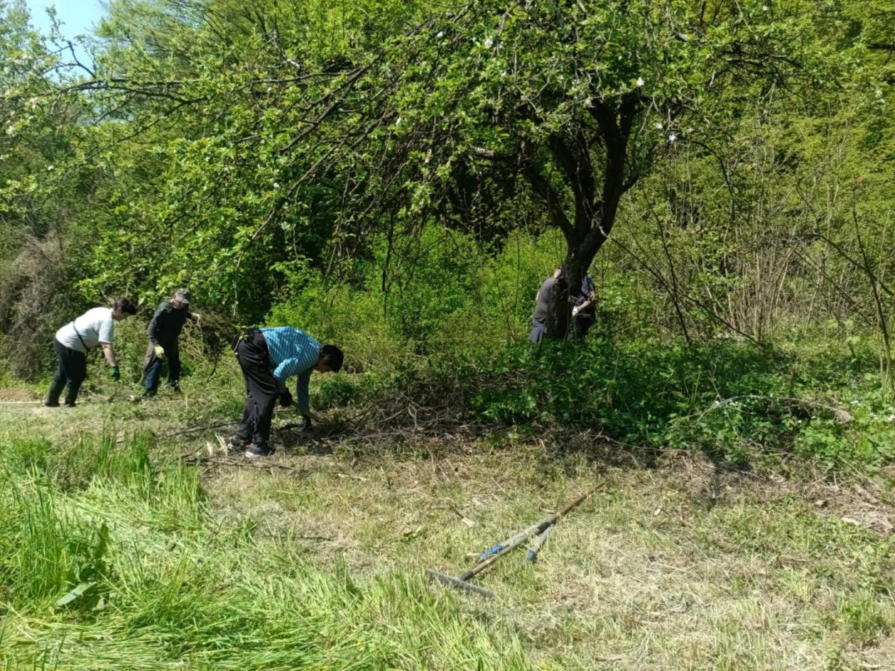 Župa Štrigova radna akcija (21)