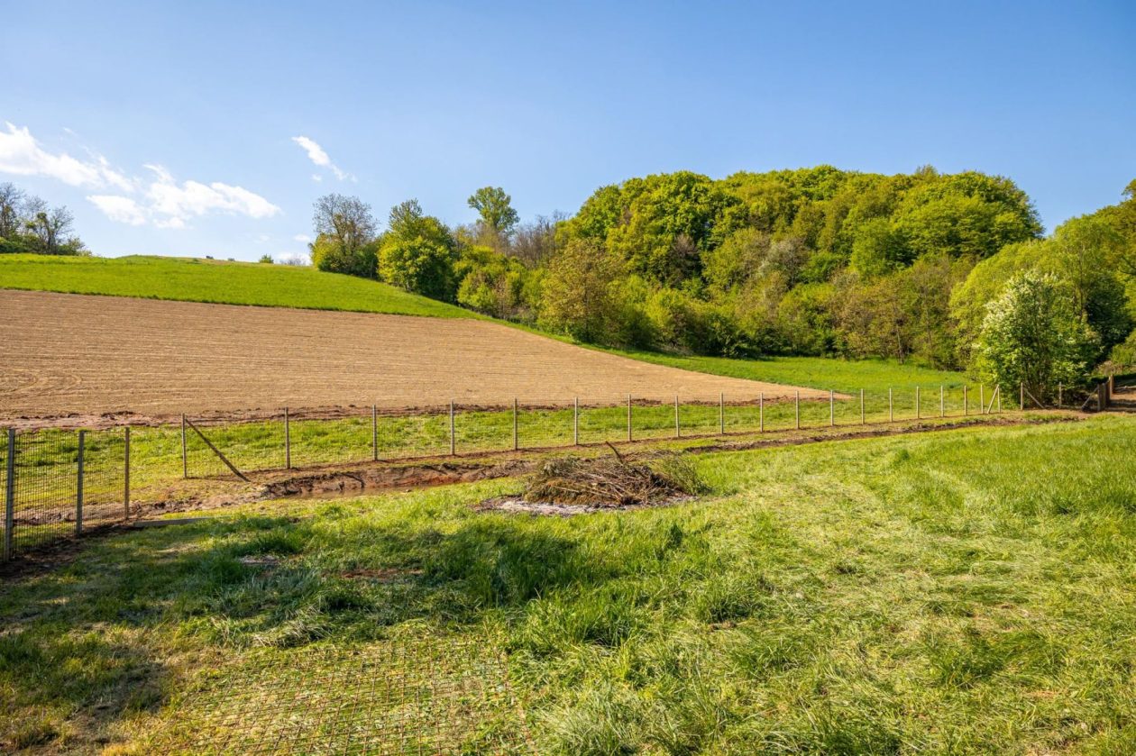 Župa Štrigova radna akcija (26)