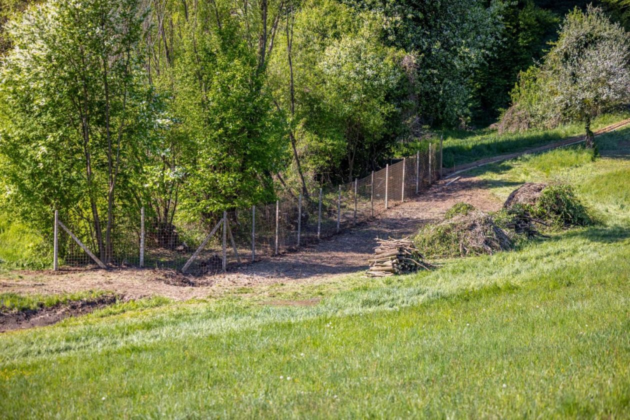 Župa Štrigova radna akcija (3)