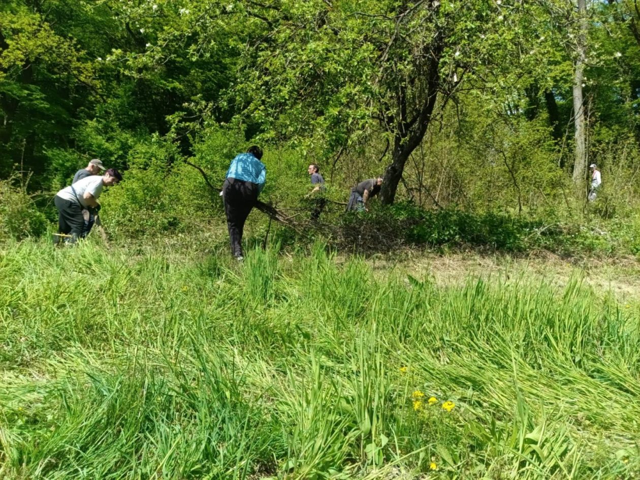 Župa Štrigova radna akcija (4)