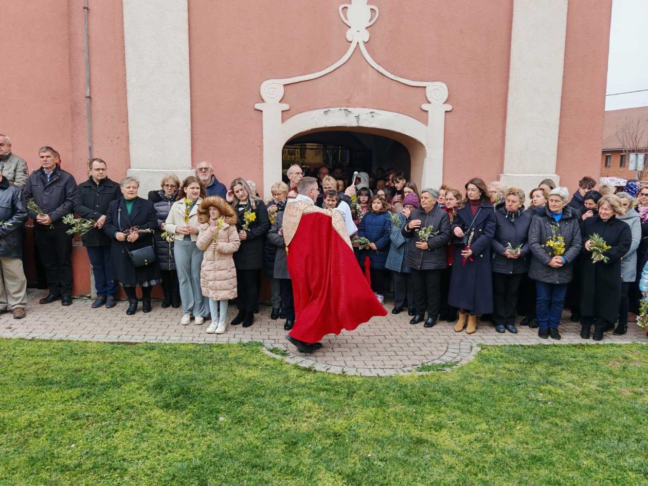 Župa Sveti Juraj u Trnju Cvjetnica (20) Župa Sveti Juraj u Trnju Cvjetnica (20)