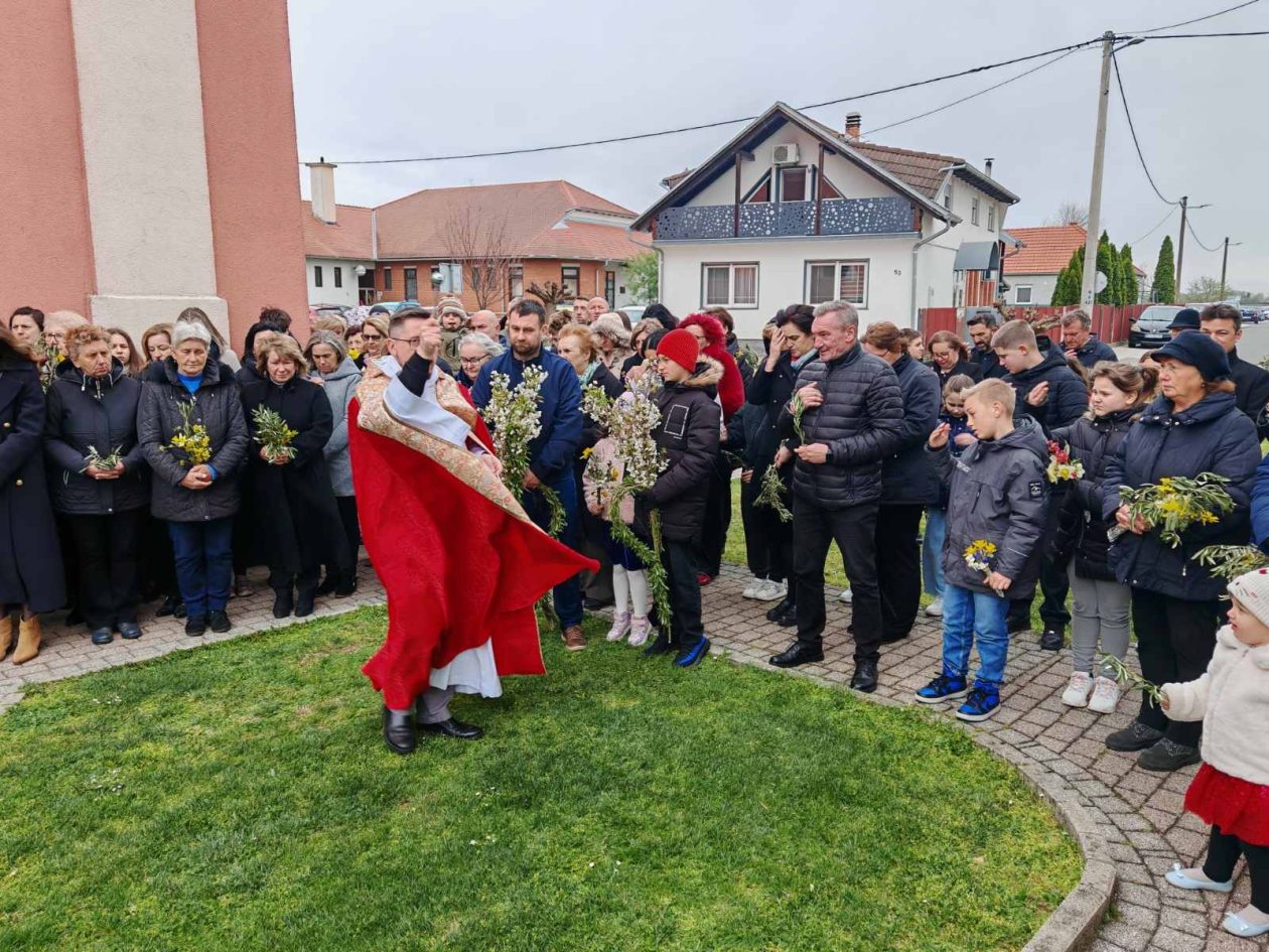 Župa Sveti Juraj u Trnju Cvjetnica (21) Župa Sveti Juraj u Trnju Cvjetnica (21)
