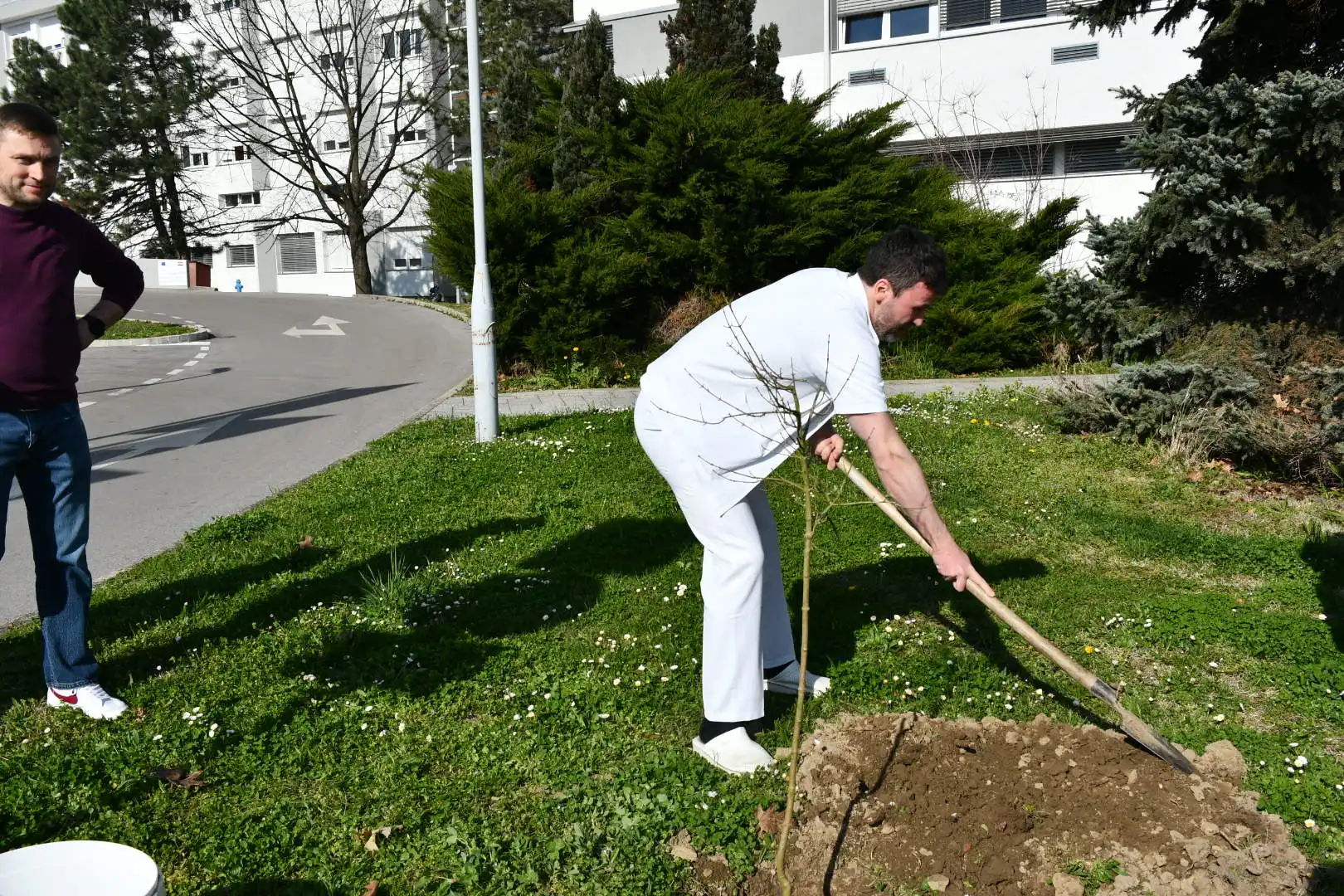 Županijska bolnica ČK sadnja drveća (15)