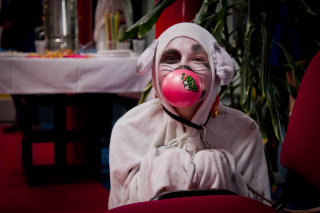 kikamaskare2017dog709426