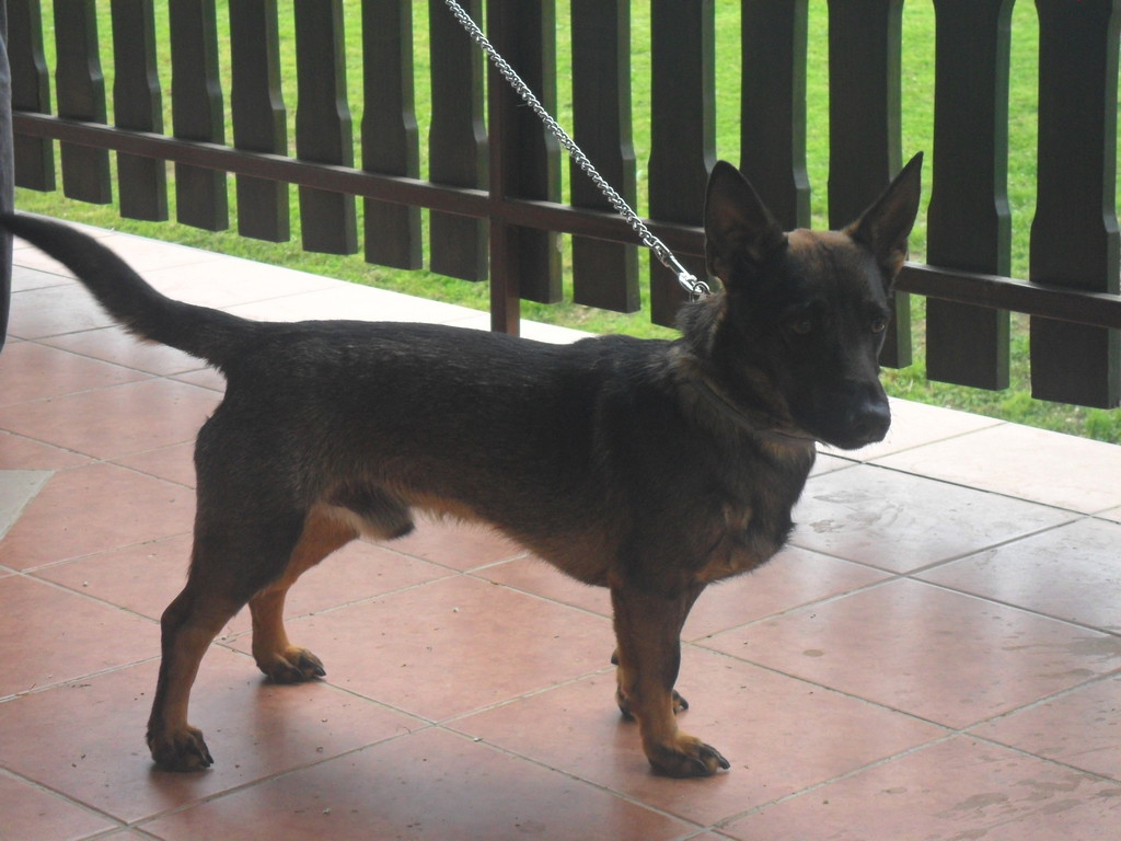 fotografija00010813462