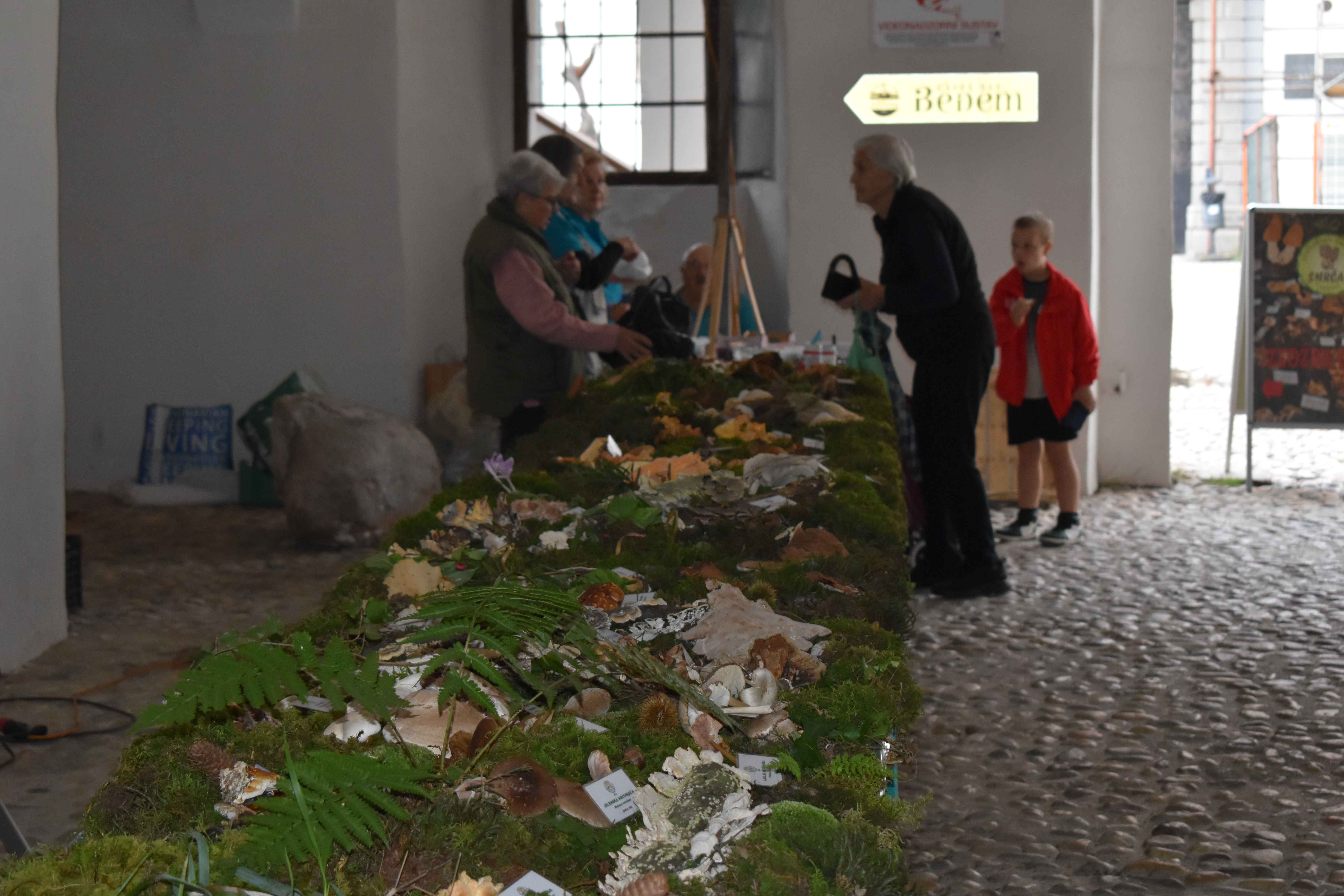 FOTO Ovog vikenda razgledajte zanimljivu i edukativnu izložbu gljiva u Čakovcu
