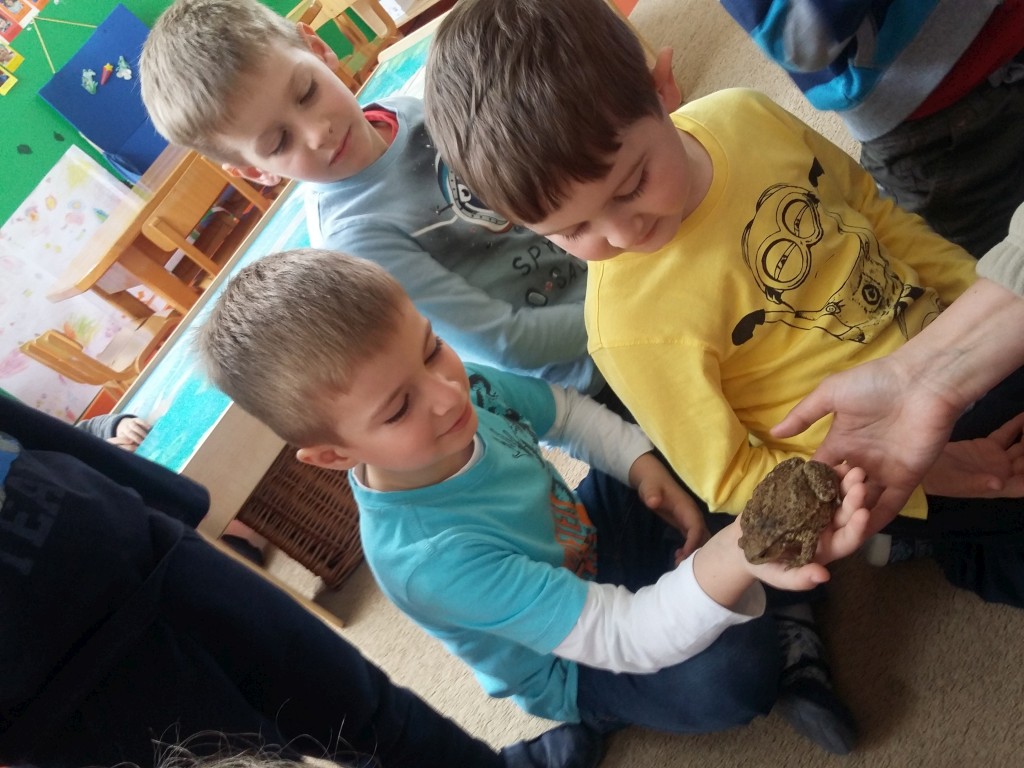 20160330093658372323