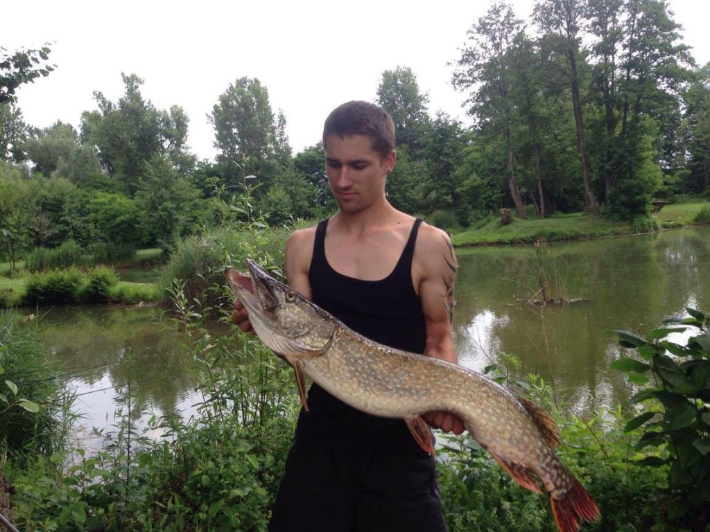 1351781310207446125530516169774