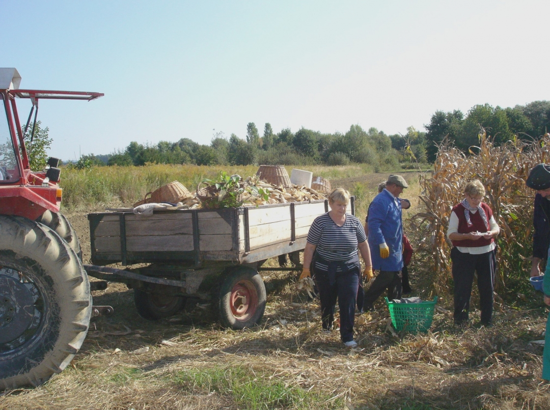 dsc04529934609816590