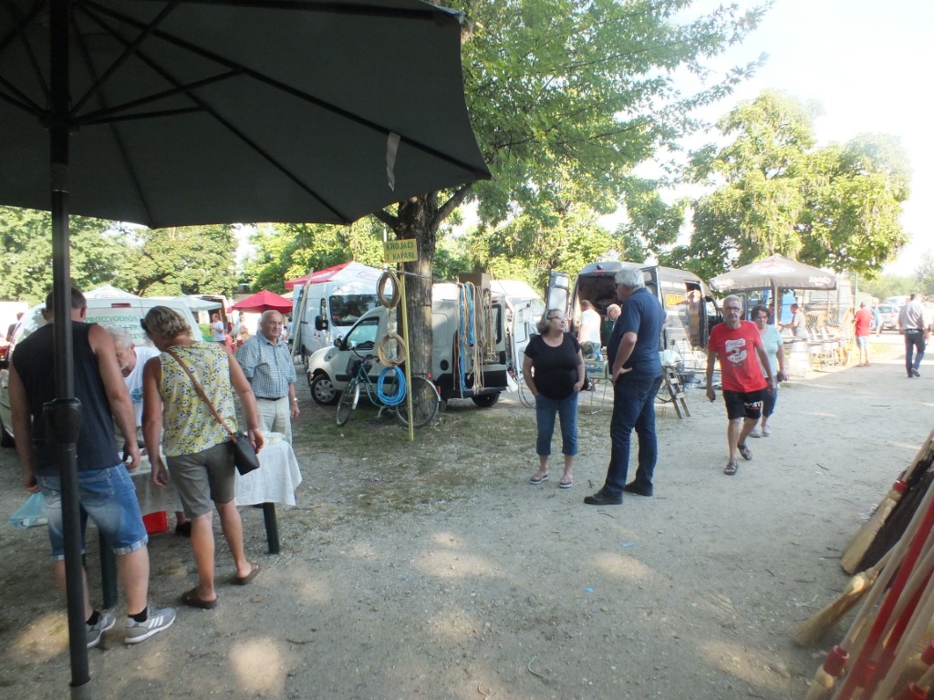 Image 5810881 (auto)