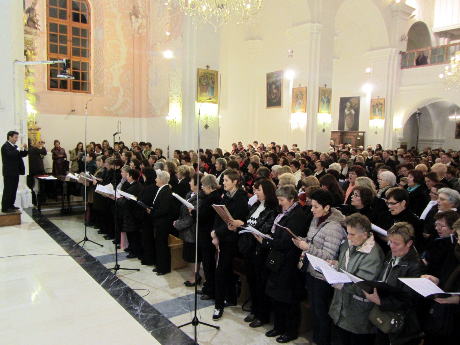 cecilijazborovanje266190