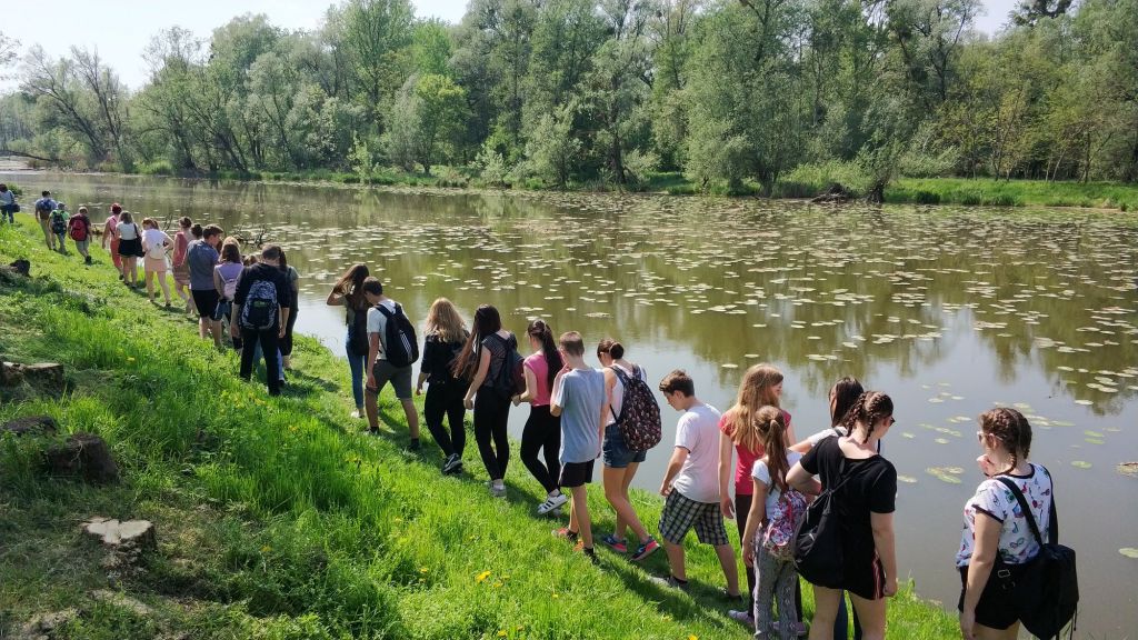 3140393077535060932417438708795