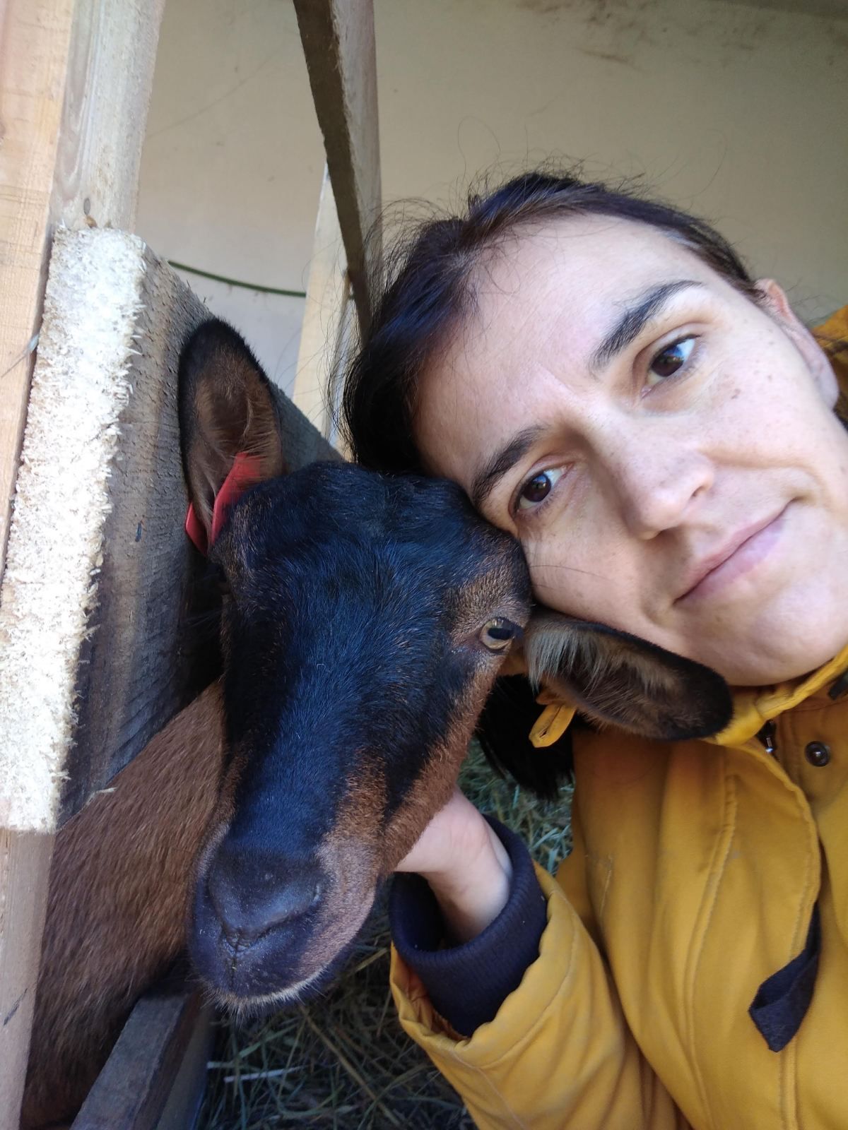 Jelena Vuletić Čičko