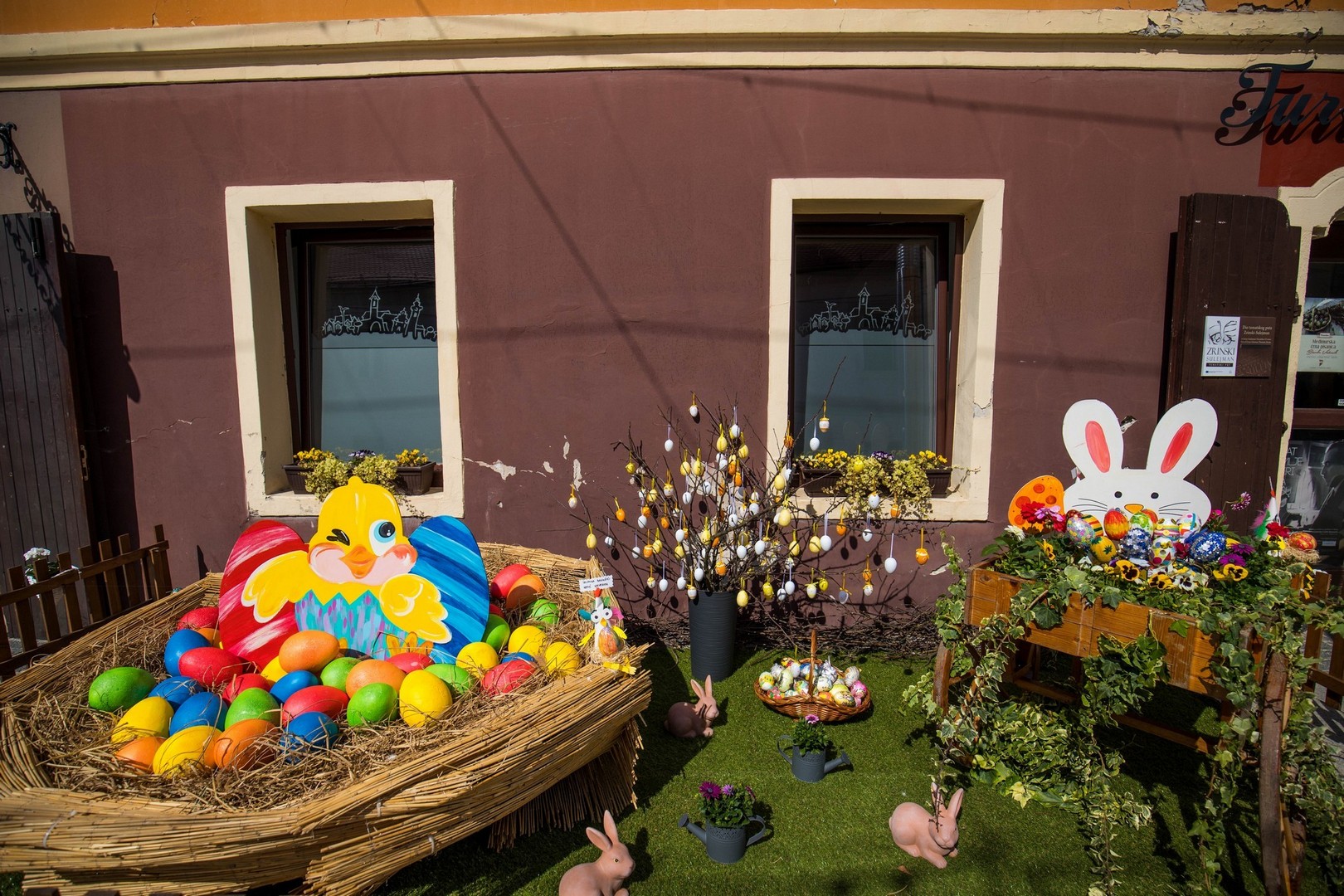 Proljetna cvjetna rapsodija u Međimurju iz objektiva Miroslave Novak Hranjec