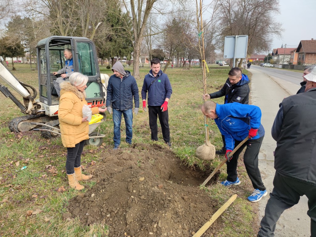 Belica, sadnja parka 2022