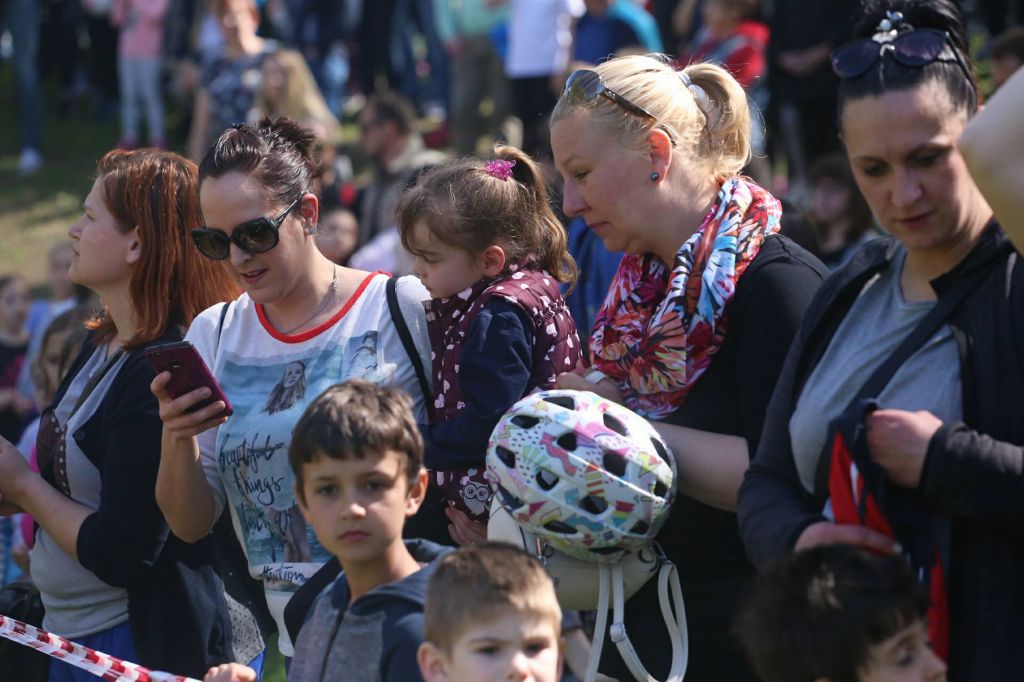 3072853110214802845681678898231