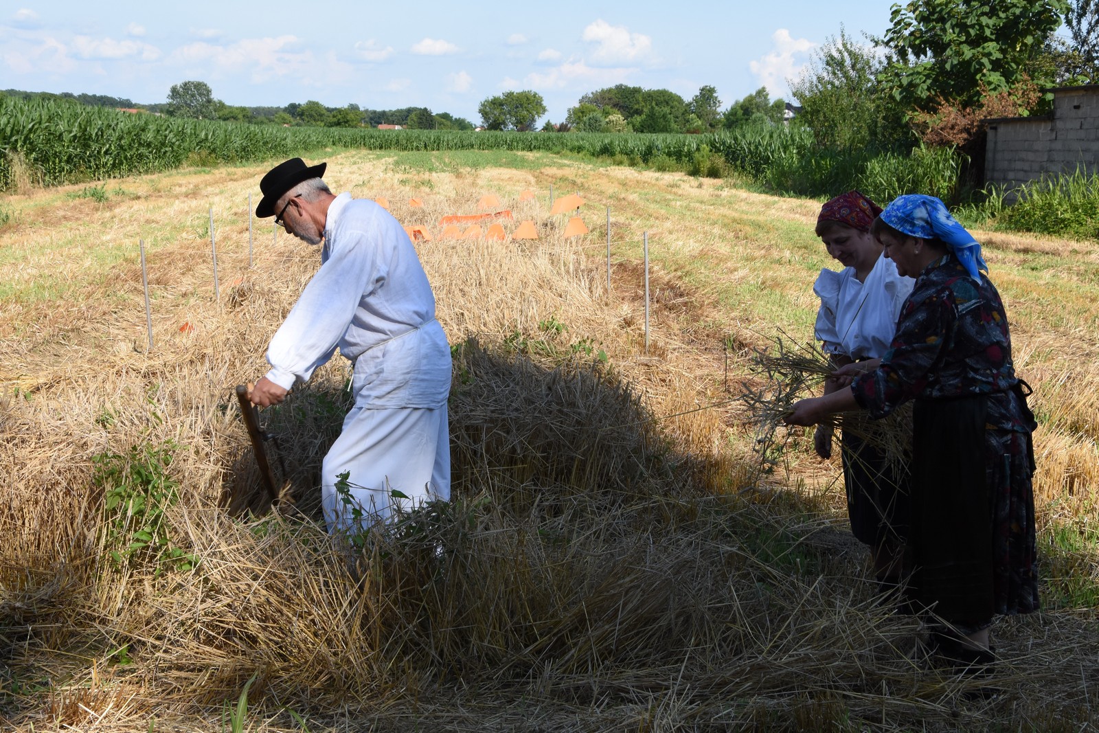 Mamičina žetva u Pušćinama