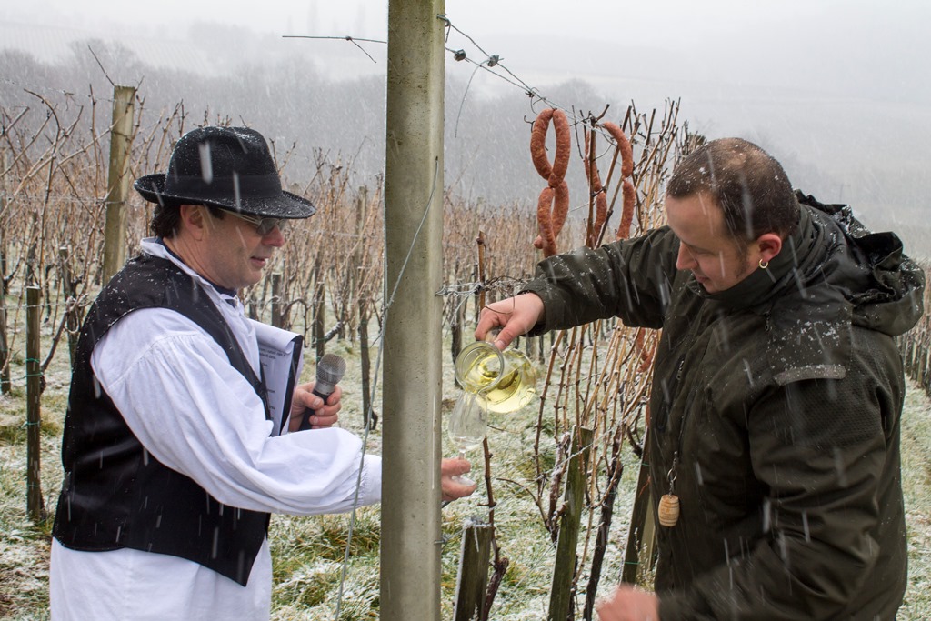 img8524vincekovo220432