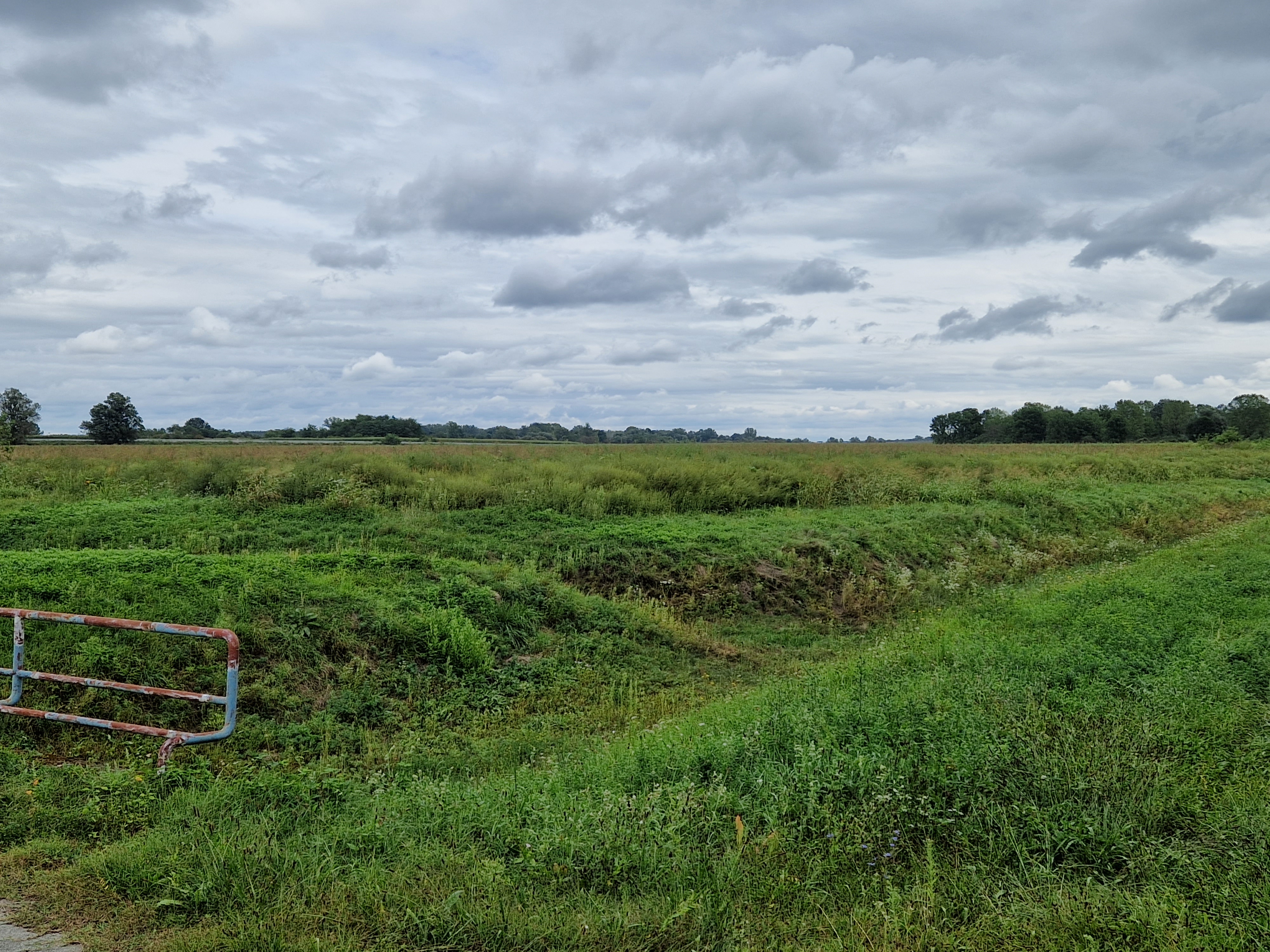 DONJI VIDOVEC ‘Sve je puno ambrozije! Zašto nitko ništa ne poduzima!?’