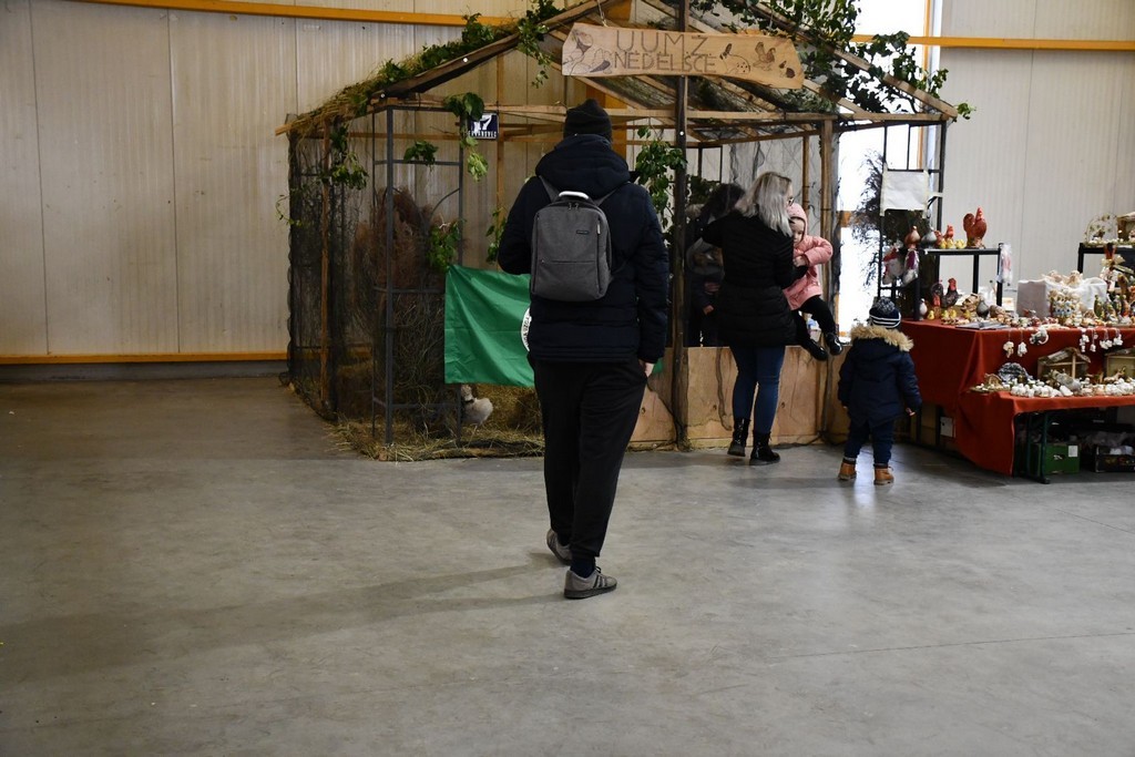 IZLOŽBA MALIH ŽIVOTINJA Izloženo preko tisuću malih životinja vrhunskih uzgajivača iz Hrvatske, ali i šire IZLOŽBA MALIH ŽIVOTINJA Izloženo preko tisuću malih životinja vrhunskih uzgajivača iz Hrvatske, ali i šire