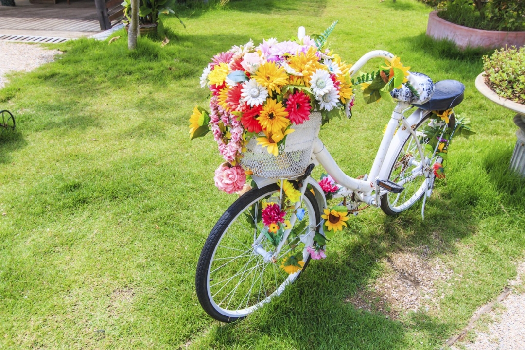 8c0d9335eeb24d1fa00ca67237328c7