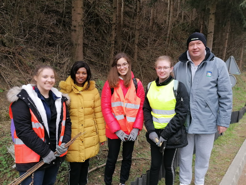 Akcija spašavanja vodozemaca