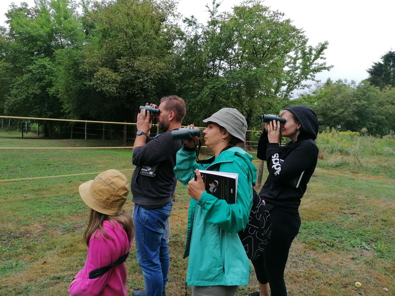 MEĐIMURSKA PRIRODA Ptičari tijekom dva sata opazili više od dvadeset ptičjih vrsta